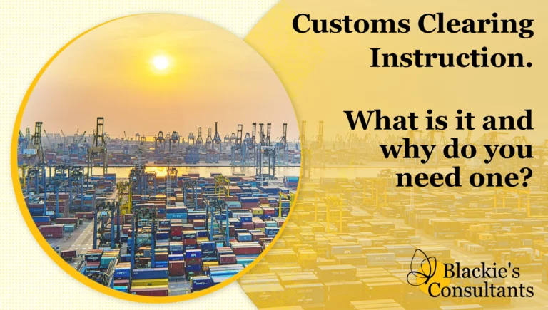 Customs Clearing Instruction – what is it, and why do you need one?